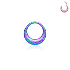 Titanium round earrings and nose rings