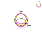 Titanium round earrings and nose rings