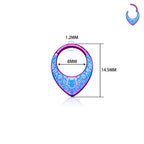 Titanium round earrings and nose rings