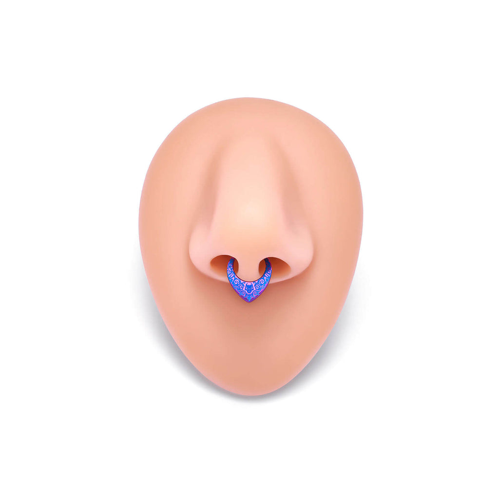 Titanium round earrings and nose rings